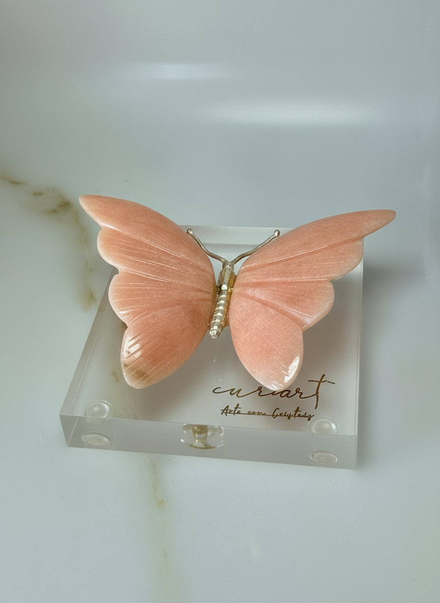 BORBOLETAS EM DOLAMITA🦋