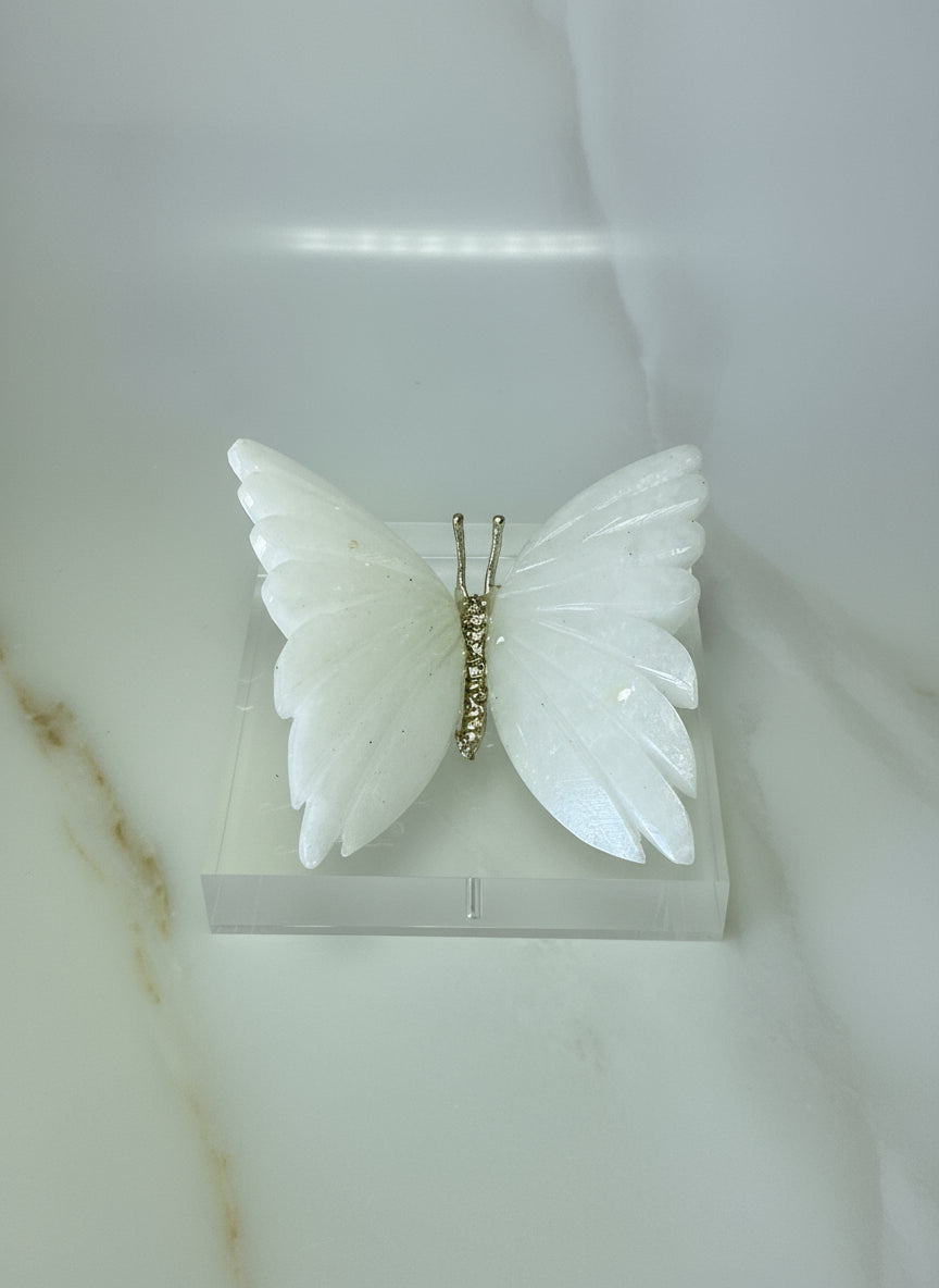 BORBOLETAS EM DOLAMITA🦋