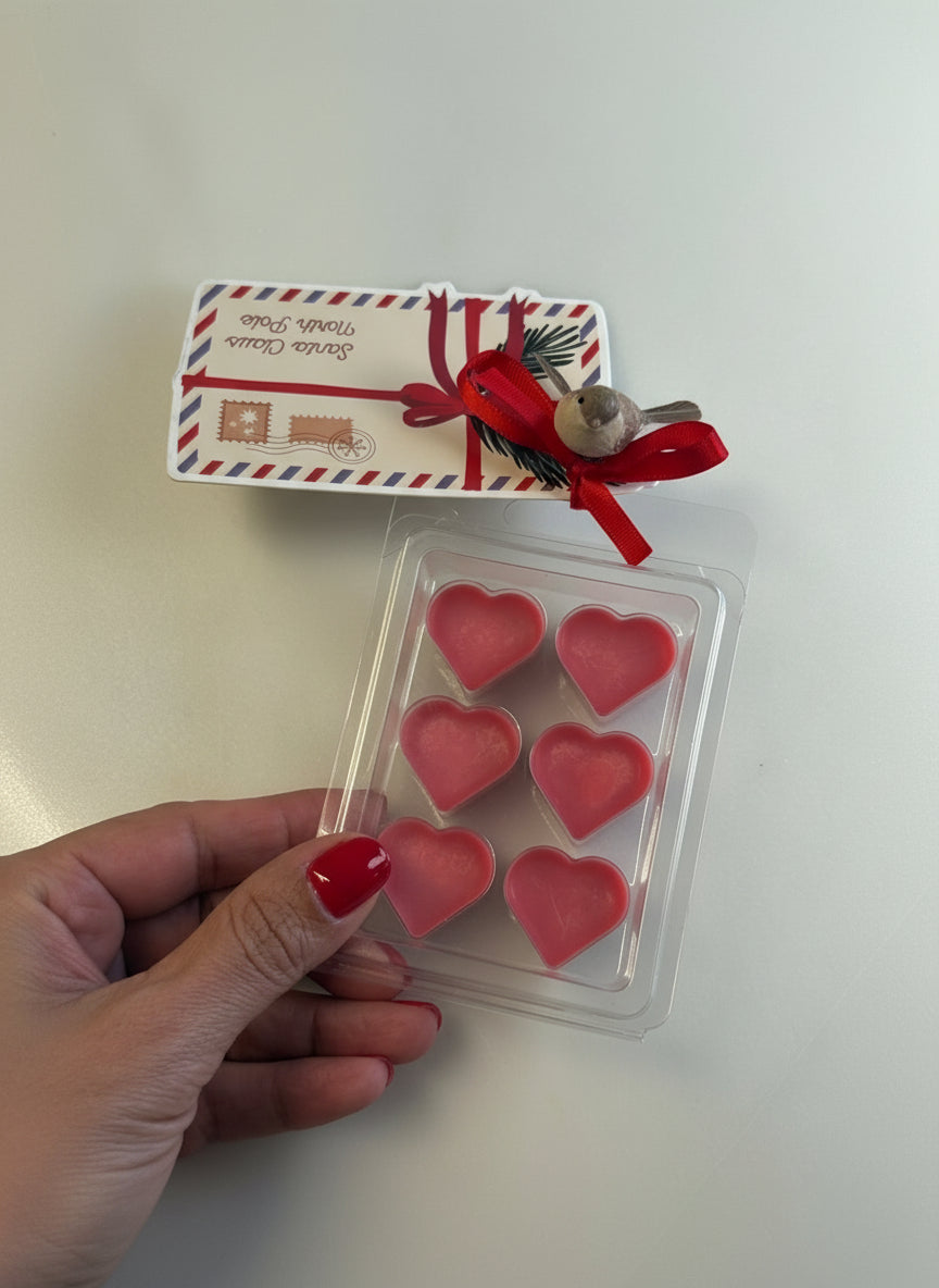 CERAS AROMÁTICAS PARA QUEIMADOR