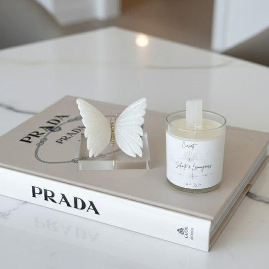 BORBOLETAS EM DOLAMITA🦋